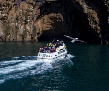 Vestmannaeyjar: Båttur med lunnefågel, öar och vulkaner
