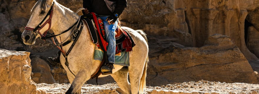 Pétra : balade à cheval jusqu'au point de vue de Pétra