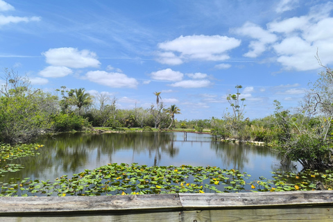 Miami: Everglades Small Group Tour in French Miami: Guided Everglades Tour in a Small Group in French