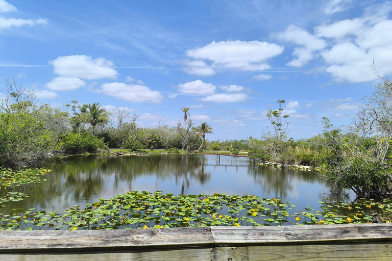 Miami: Everglades Small Group Tour in French Miami: Guided Everglades Tour in a Small Group in French