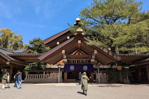 4-Hour Nagoya Private Tour – Licensed Guide & Private Car