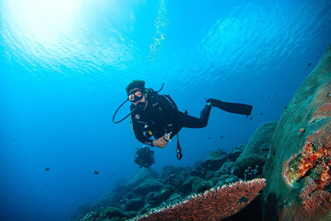 From Nusa Penida: Scuba Diving with Manta Ray Nusa PenidaCertified Diver