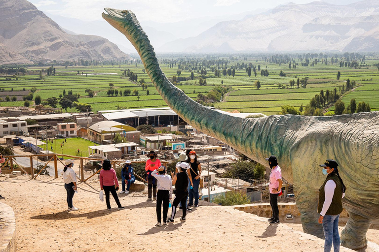 AREQUIPA: Petroglify martwego byka i ślady dinozaurów(Kopia) Petroglifos Toro Muerto y Huellas de Dinosaurios