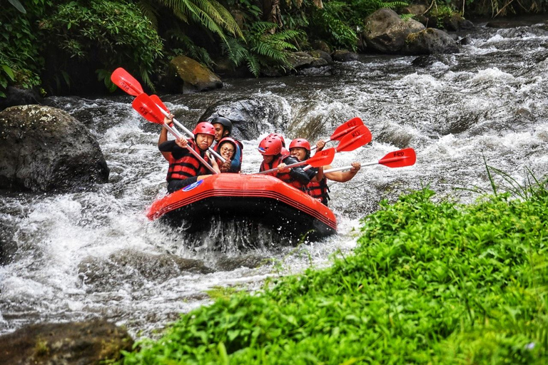 Bali: Ayung River Rafting, Spice Garden &amp; Tanah Lot Tour