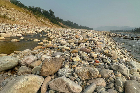 Bangalore to Jim Corbett: 2-Day Safari Adventure via Delhi All-Inclusive tour