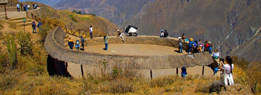Depuis Arequipa : visite d'une jounée du Canyon de Colca avec petit-déjeuner