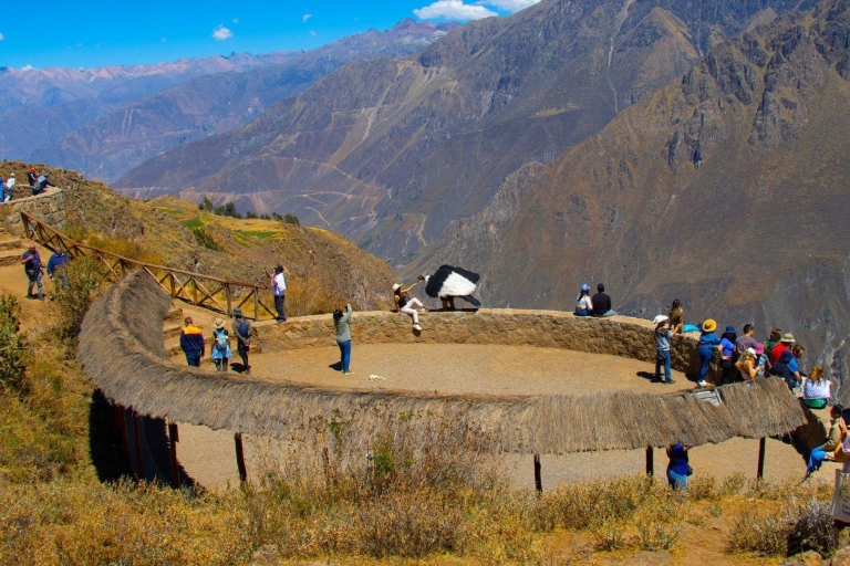 Z Arequipy: Całodniowa wycieczka do Kanionu Colca ze śniadaniem