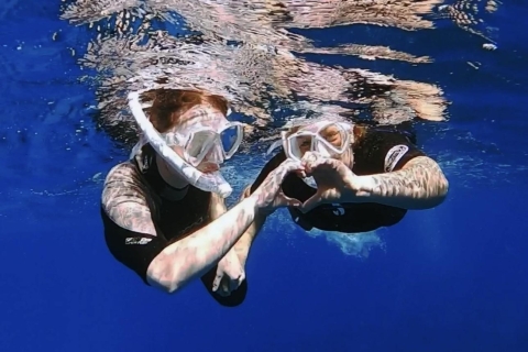 Tenerife : Découverte de la plongée en apnée à Turtle Bay avec vidéoExcursion privée de plongée en apnée à Turtle Bay avec photographe
