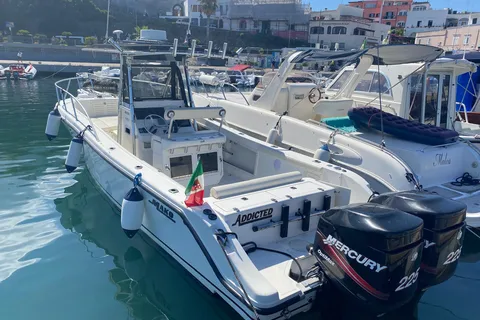 Forio: Excursions, boat transfers and fishing trips