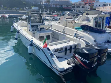 Forio: Ausflüge, Bootstransfers und Angelausflüge