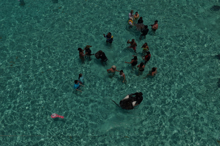 Grand Cayman: Catamaran Cruise with Stingray City & Snorkel