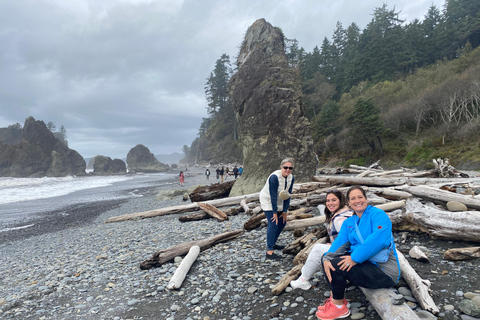 Seattle: Rainforest and Olympic National Park Highlights Olympic National Park: Rainforest, Beach, and highlights