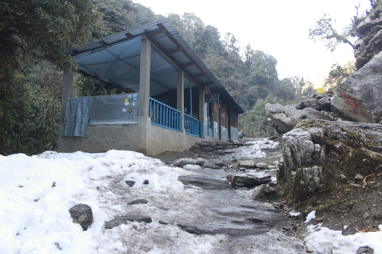 Découvrez la magie de Poon Hill : Un trek de 4 jours au départ de Pokhara