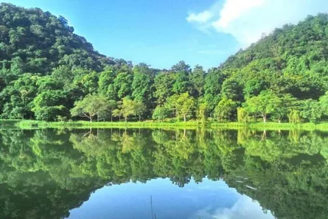 Desde Ninh Binh Excursión de un día al Parque Nacional de Cuc Phuong
