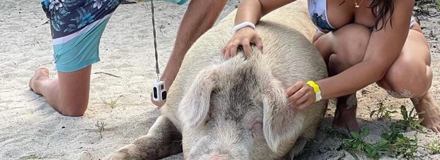 Nassau : Circuit dans les îles avec déjeuner et boissons