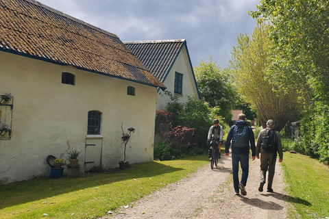 Köpenhamn: Stevns Klint Geologisk Hot Spot UNESCO-tur