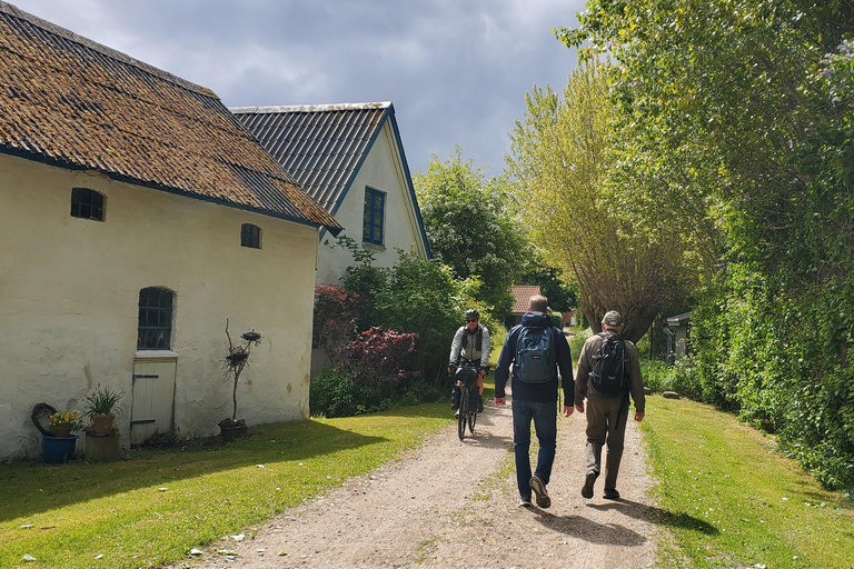 Köpenhamn: Stevns Klint Geologisk Hot Spot UNESCO-tur