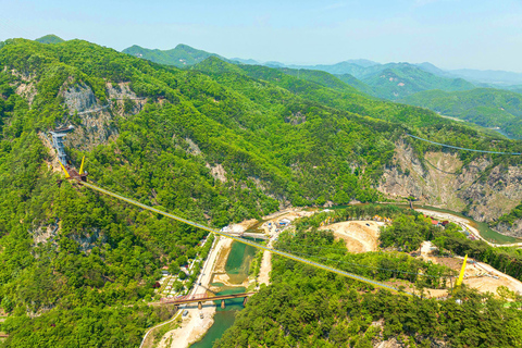 From Seoul: Wonju Nature Day Trip, Ginkgo Tree & Cable Car A. [Spring] Sogeumsan Cable Car & Cherry Blossom Tunnel Tour