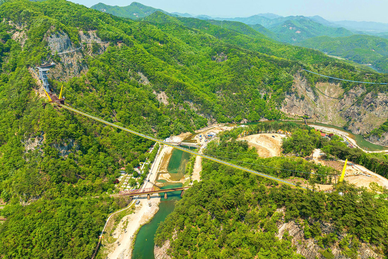 From Seoul: Wonju Nature Day Trip, Ginkgo Tree & Cable Car A. [Spring] Sogeumsan Cable Car & Cherry Blossom Tunnel Tour
