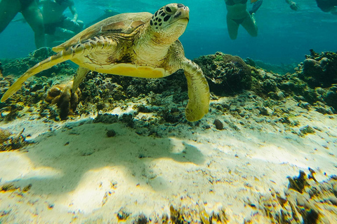 Gili Trawangan : excursion à vélo avec plongée en apnée et point de vueGili Trawangan : circuit à vélo avec plongée avec tuba et point de vue
