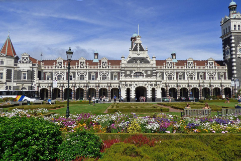 From Port Chalmers: Castle, Coast & City Tour From Port Chalmers: Dunedin City Tour with Larnach Castle