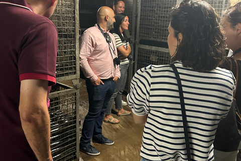 Johannisberg Rheingau: Wine tasting with cellar tour and hike