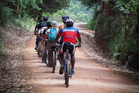 Moshi: Rau Forest Guided Bike Tour