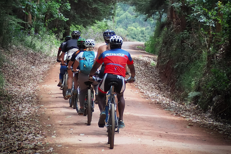 Moshi: Rau Forest Guided Bike Tour