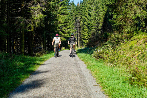 Bergen: Osterøy E-Bike Tour, Fjord Safari & Lunch