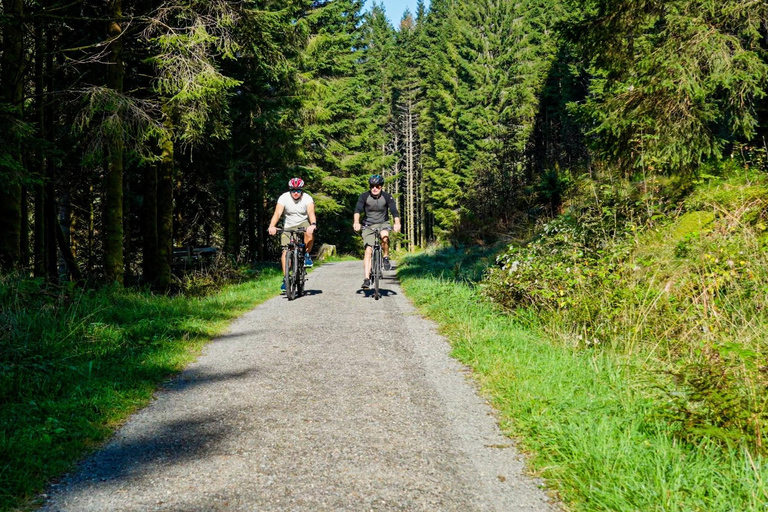 Bergen: Osterøy E-Bike Tour, Fjord Safari & Lunch