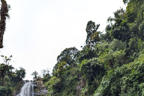 Moshi: Wycieczka z lunchem do wodospadu Materuni i na kawę