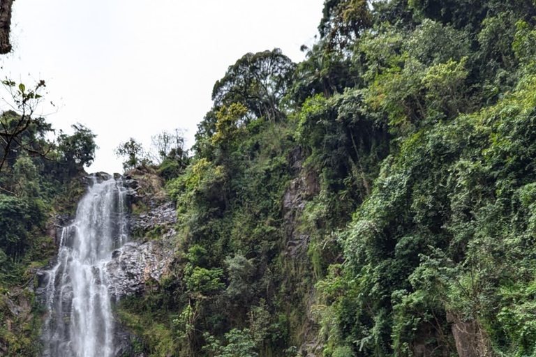 Moshi: Wycieczka z lunchem do wodospadu Materuni i na kawę