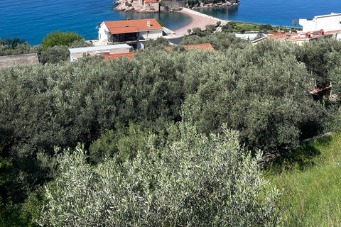 Z Tirany do Czarnogóry: Kotor i Budva, jednodniowa wycieczka