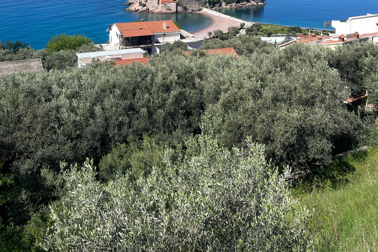 Z Tirany do Czarnogóry: Kotor i Budva, jednodniowa wycieczka