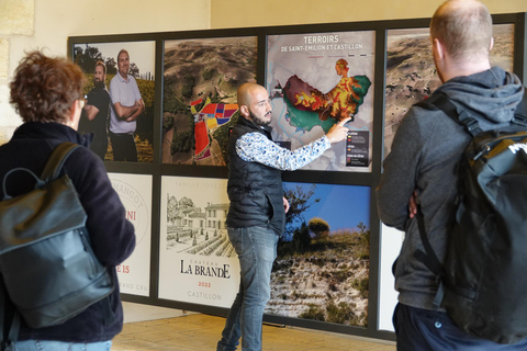 Bordeaux: St. Emilion wijn- en e-biketour met lunch