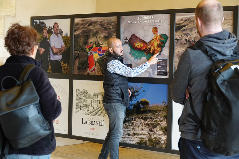 Bordeaux: St. Emilion wijn- en e-biketour met lunch