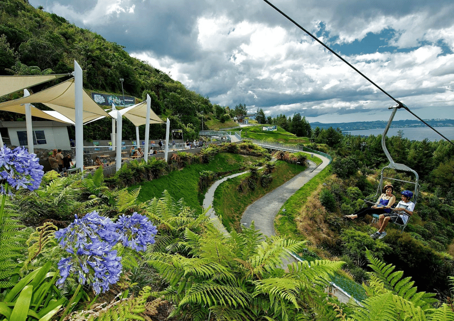 New Zealand Skyline Rotorua: Gondola + Buffet Dinner | GetYourGuide