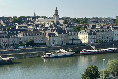 Angers: Château d'Angers, Wine Tasting, and Lunch Tour