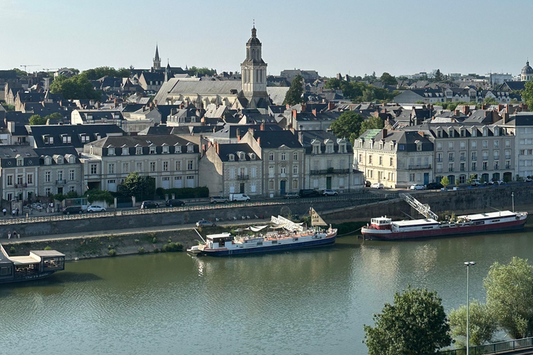 Angers: Château d'Angers, Wine Tasting, and Lunch Tour