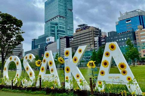 Osaka: Explore Cultural Gems with Pickup & Private Guide