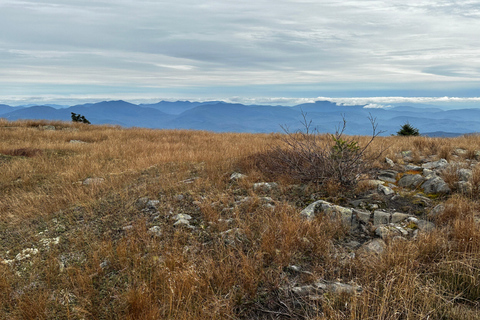 Boston: White Mountains 4.000 voet wandeling - Mount Moosilauke