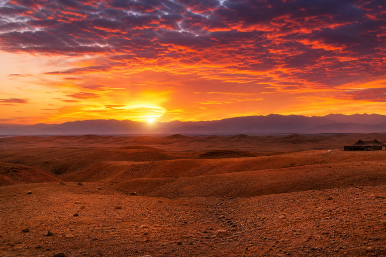Marrakech: Agafay Desert Quad & Camel Rides with Dinner Show