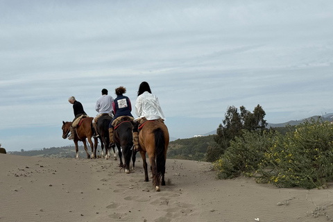 Vineyard, Valparaiso, Horseback Riding, Sea L &amp; BBQ Day Trip
