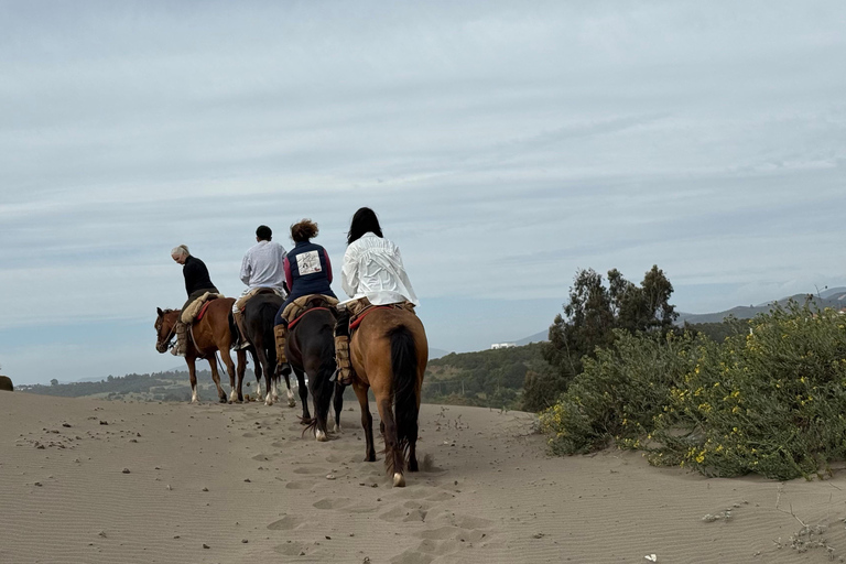 Vineyard, Valparaiso, Horseback Riding, Sea L &amp; BBQ Day Trip