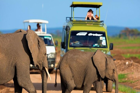 Ab Nairobi: 7-tägige Kenia Wildlife und Diani Beach Safari