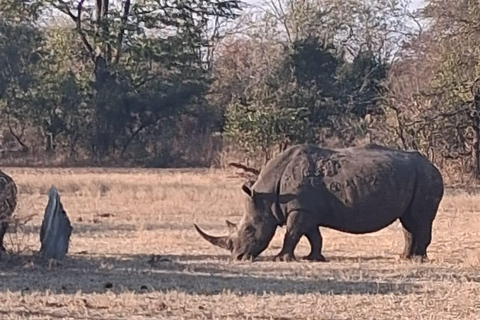 Mosi-oa-Tunya National Park Game Drive & Braai
