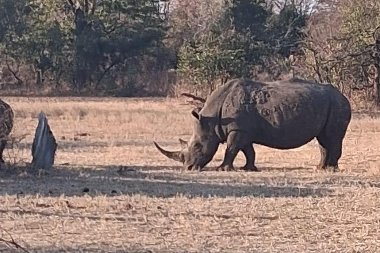 Mosi-oa-Tunya National Park Game Drive & Braai