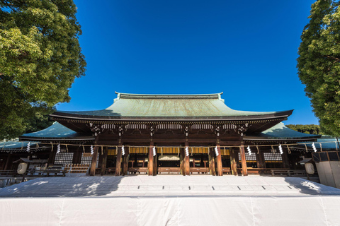 Tokyo: Customized Full-Day Tour