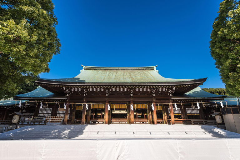 Tokyo: Customized Full-Day Tour