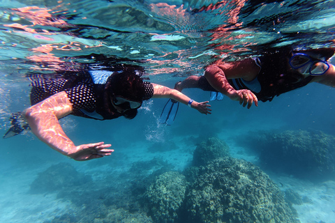 From Muscat: Dimaniyat Islands Snorkeling Tour with Lunch Dimaniyat Snorkeling Cruise with Snacks & Transfers